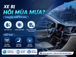 Xe bị hôi mùa mưa